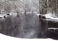 Silverån vinter Foto: Kenneth Rosén